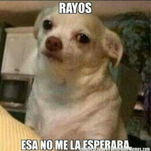 Meet your Posher, Lil stella